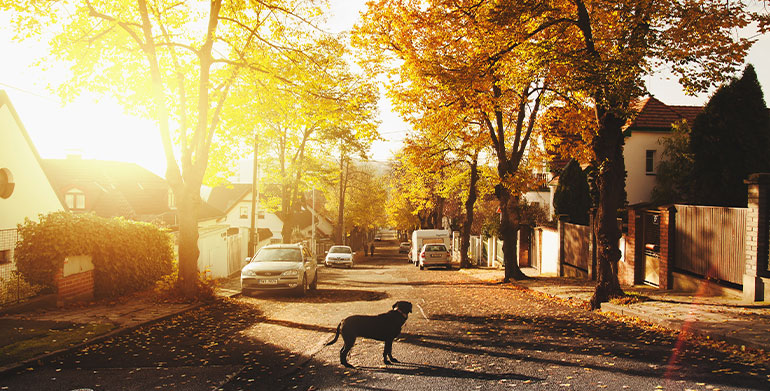 Master The Art Of Getting Your Property's Worth
